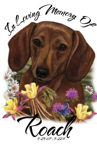 File:Raoch Tattoo.jpg