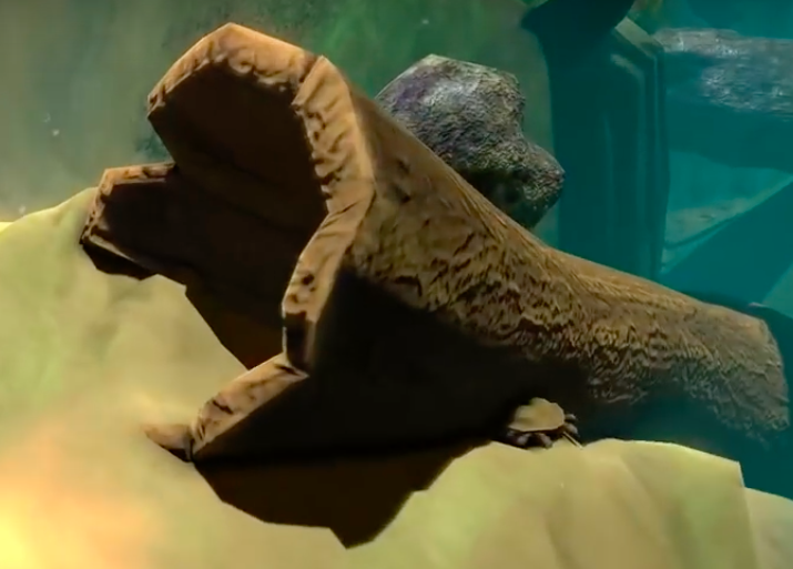 Swamp Crab | Feed and Grow Fish Wikia | FANDOM powered by Wikia