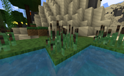 Cattail