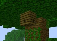 Jungle hive