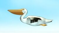 Pelican 1