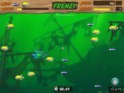 Pufferfish bonus