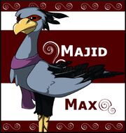 Maxwell