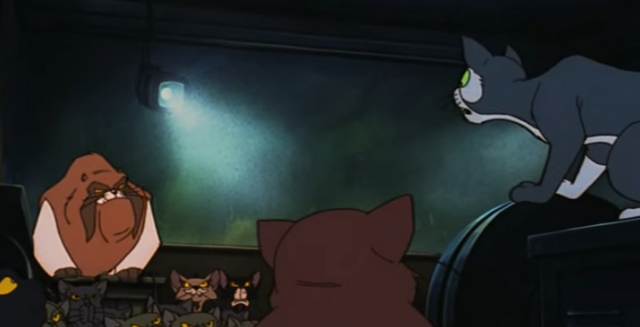 File:Catcongregation.png