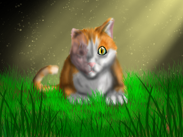 File:Brightheart.png
