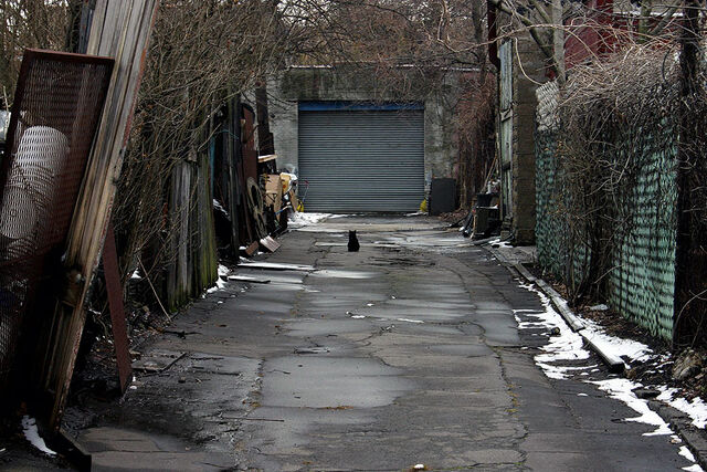 File:Black-cat-alley.jpg