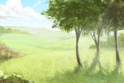 FIELD