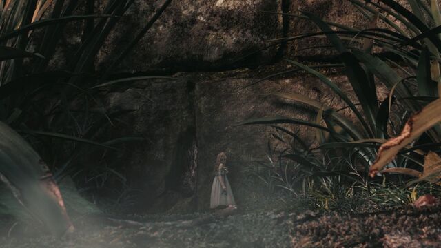 File:AliceInWonderland-2646.jpg