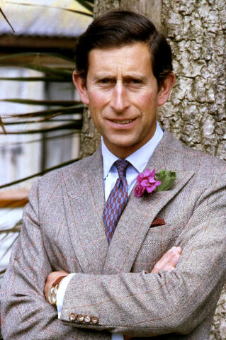 File:Prince Charles Irl.jpg