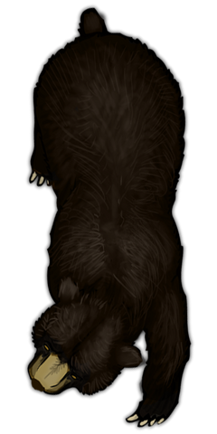 File:Beartoken.png