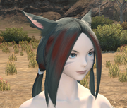 Venylia
