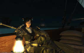 Ff14sgg