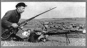 M1891bayonet