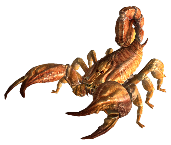 File:Barkscorpion.png