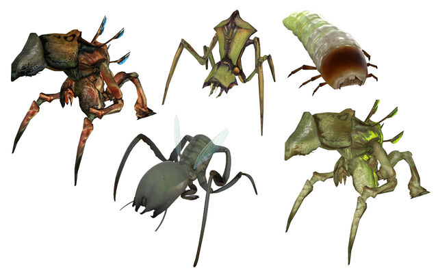 File:Antlion.jpg