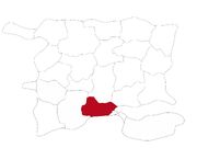 Niimage