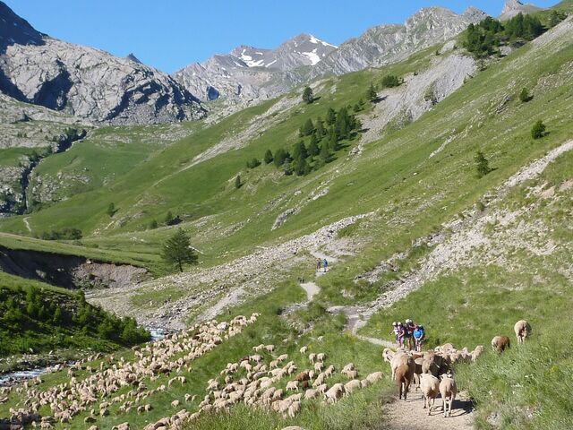 Bestand:Bernina.jpg