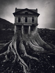 Ju tree house