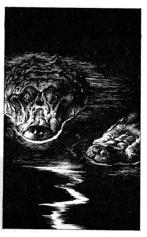 File:Crocodile1.jpg