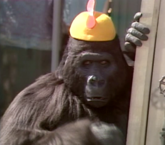 File:TracyTheGorillala.png