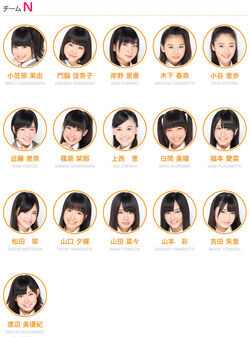 Team N