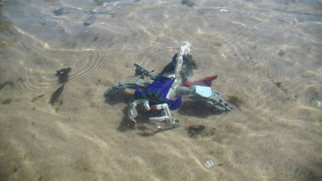 File:014emergenceB.jpg