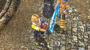 FFX HD Tidus Brotherhood