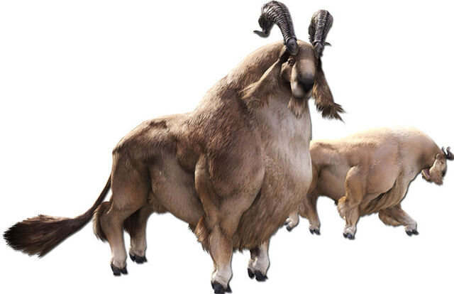 File:XIV Aldgoat.jpg