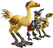 ARR Chocobos.png