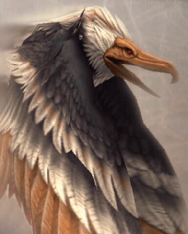 File:Dive Talon.jpg