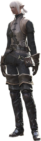 File:STAND2ElezenF FINAL.png