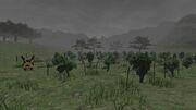 Rolanberry Dietmund's Field