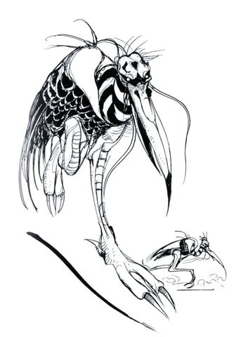 File:Amano Loper.jpg