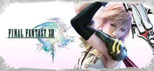 FFXIII Steam2.jpg
