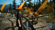 FFXV-Wiz-Chocobo-Post