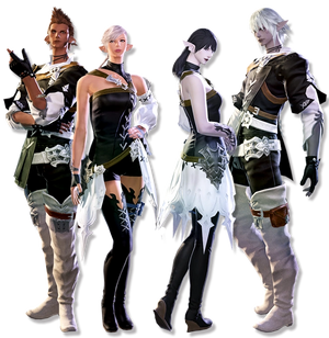 Elezen Profil.png