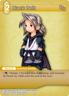 1-084c - Black Belt