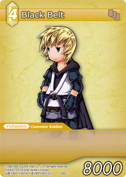 1-083C - Black Belt