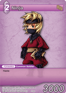 5-114c - Ninja