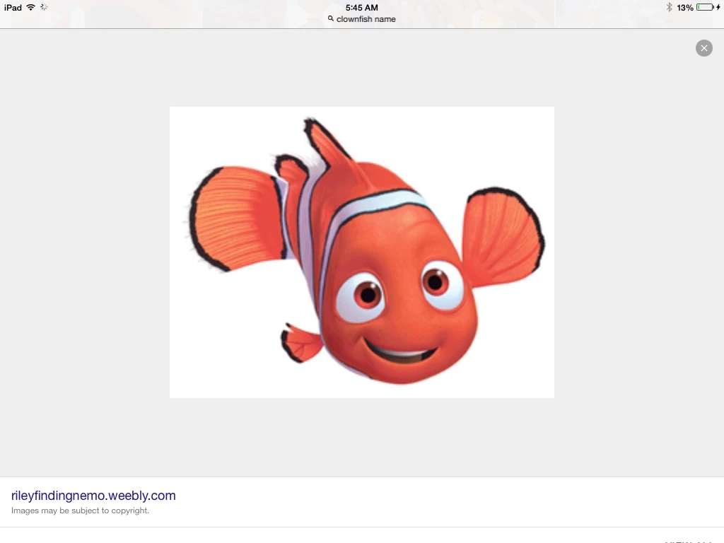 Image - Nemo.jpg | Finding Nemo Fanon Wiki | FANDOM powered by Wikia