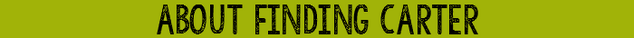 File:About.png