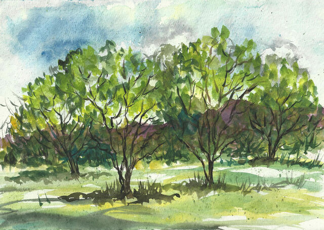 File:Trees web.jpg
