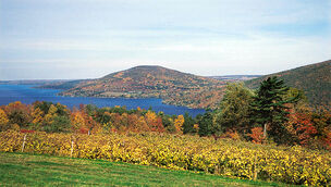 Canandagua Lake Vinyard