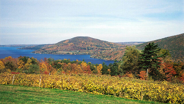 File:Canandagua Lake Vinyard.jpg
