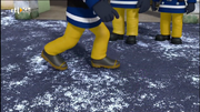 Snow cleats