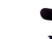 Nightmarerat jumpscare