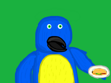 PetetheparrotImage