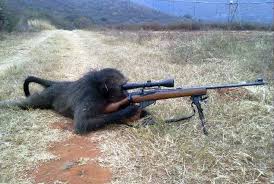 File:Gorilla warfare.jpg
