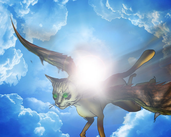 Файл:Крылатая кошка1.png