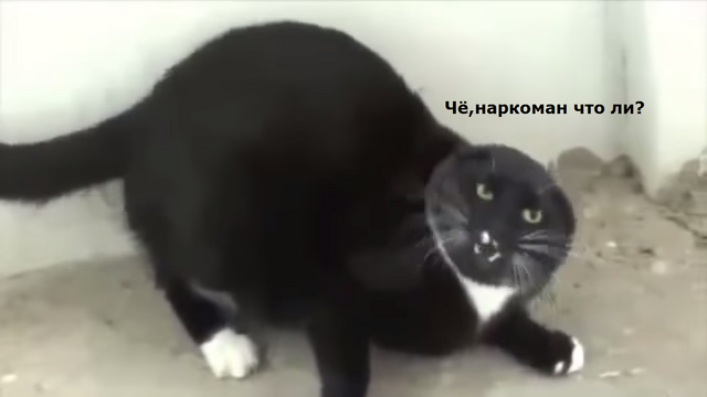 Файл:Чо,наркоман?.png